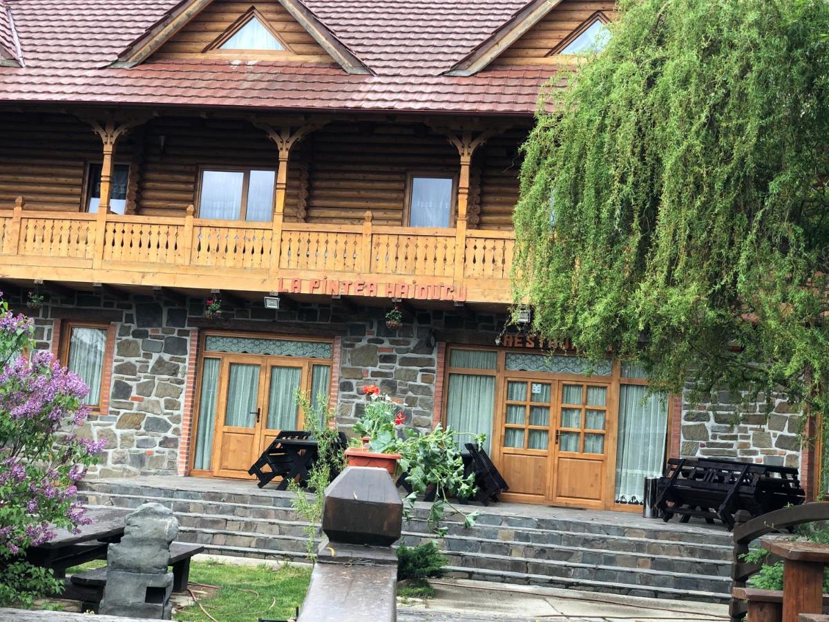 Pensiune Pastravarie La Pintea Haiducu Deseşti Buitenkant foto