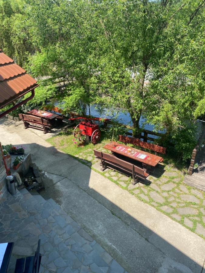 Pensiune Pastravarie La Pintea Haiducu Deseşti Buitenkant foto