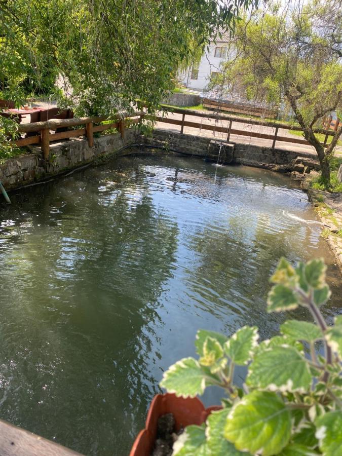 Pensiune Pastravarie La Pintea Haiducu Deseşti Buitenkant foto
