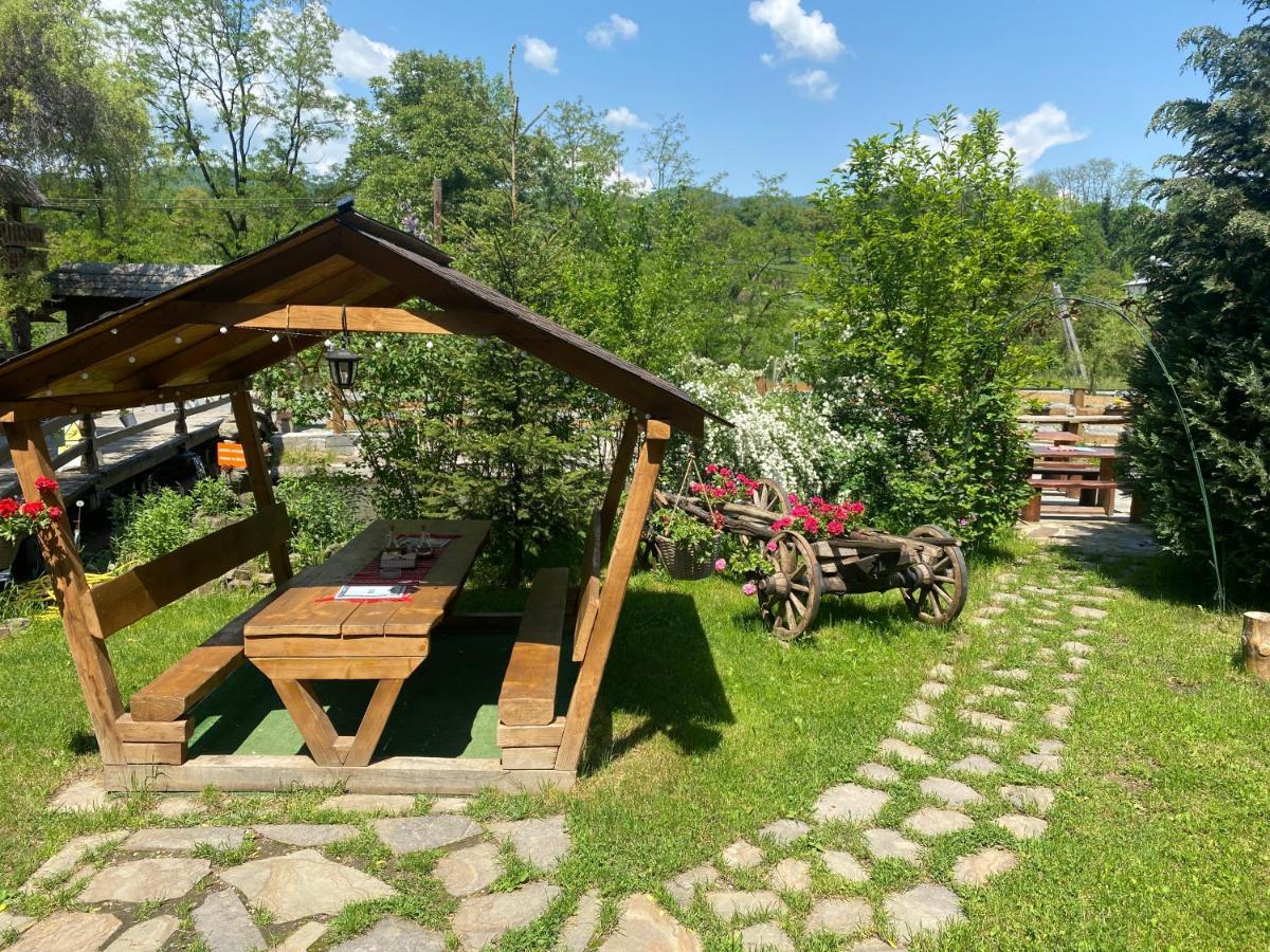 Pensiune Pastravarie La Pintea Haiducu Deseşti Buitenkant foto