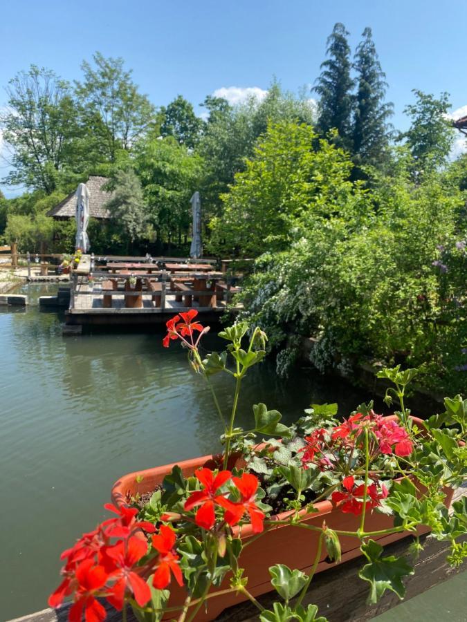 Pensiune Pastravarie La Pintea Haiducu Deseşti Buitenkant foto