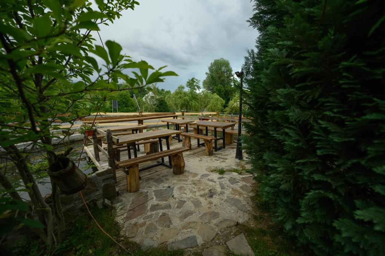 Pensiune Pastravarie La Pintea Haiducu Deseşti Buitenkant foto