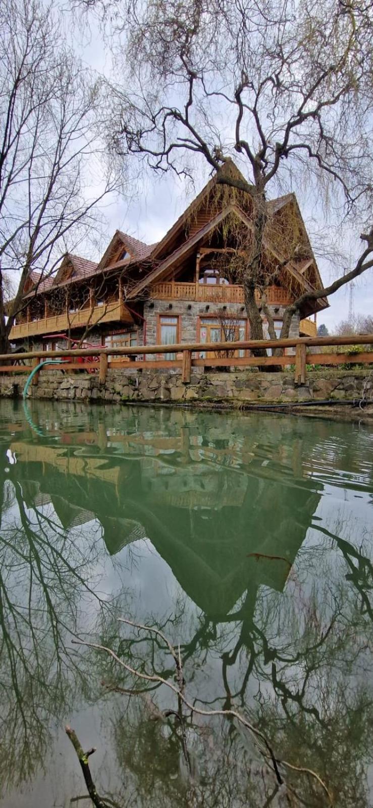 Pensiune Pastravarie La Pintea Haiducu Deseşti Buitenkant foto