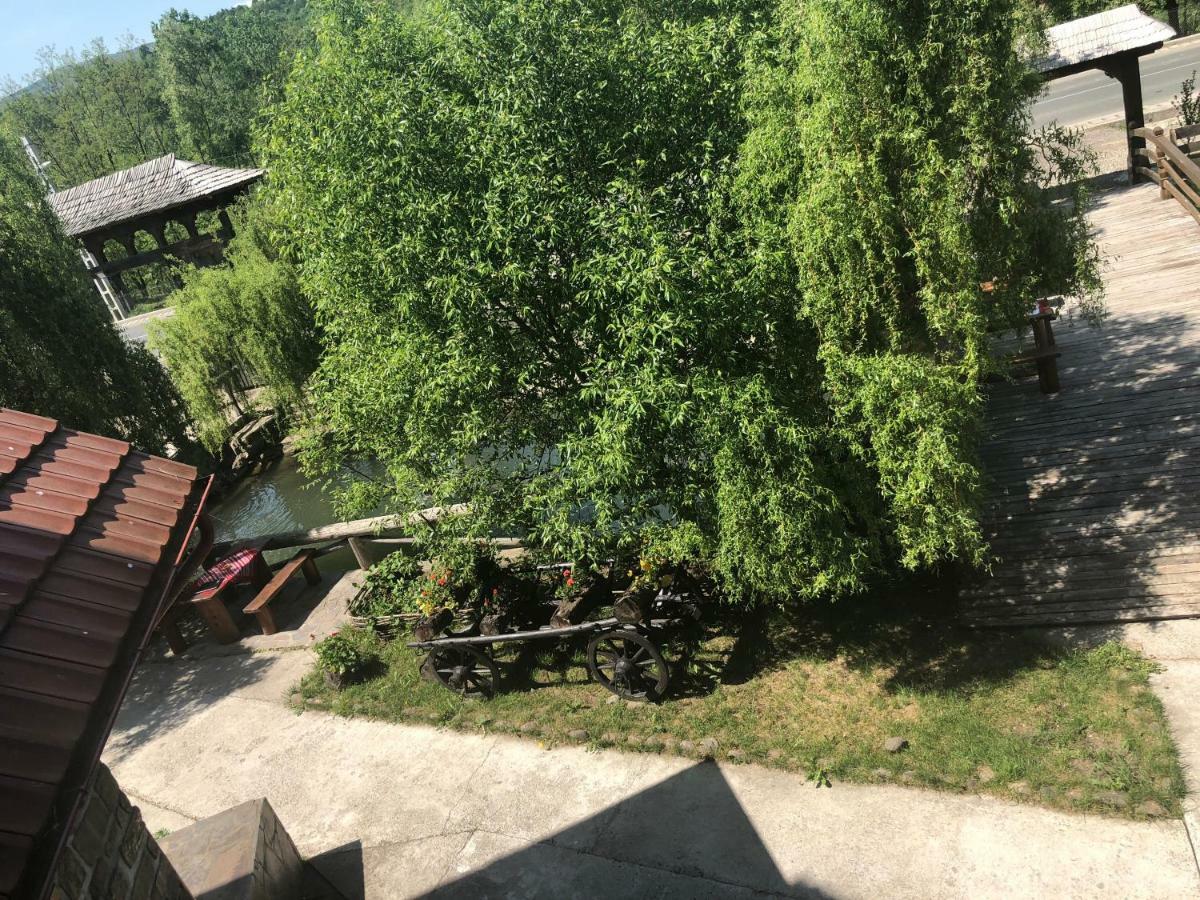 Pensiune Pastravarie La Pintea Haiducu Deseşti Buitenkant foto
