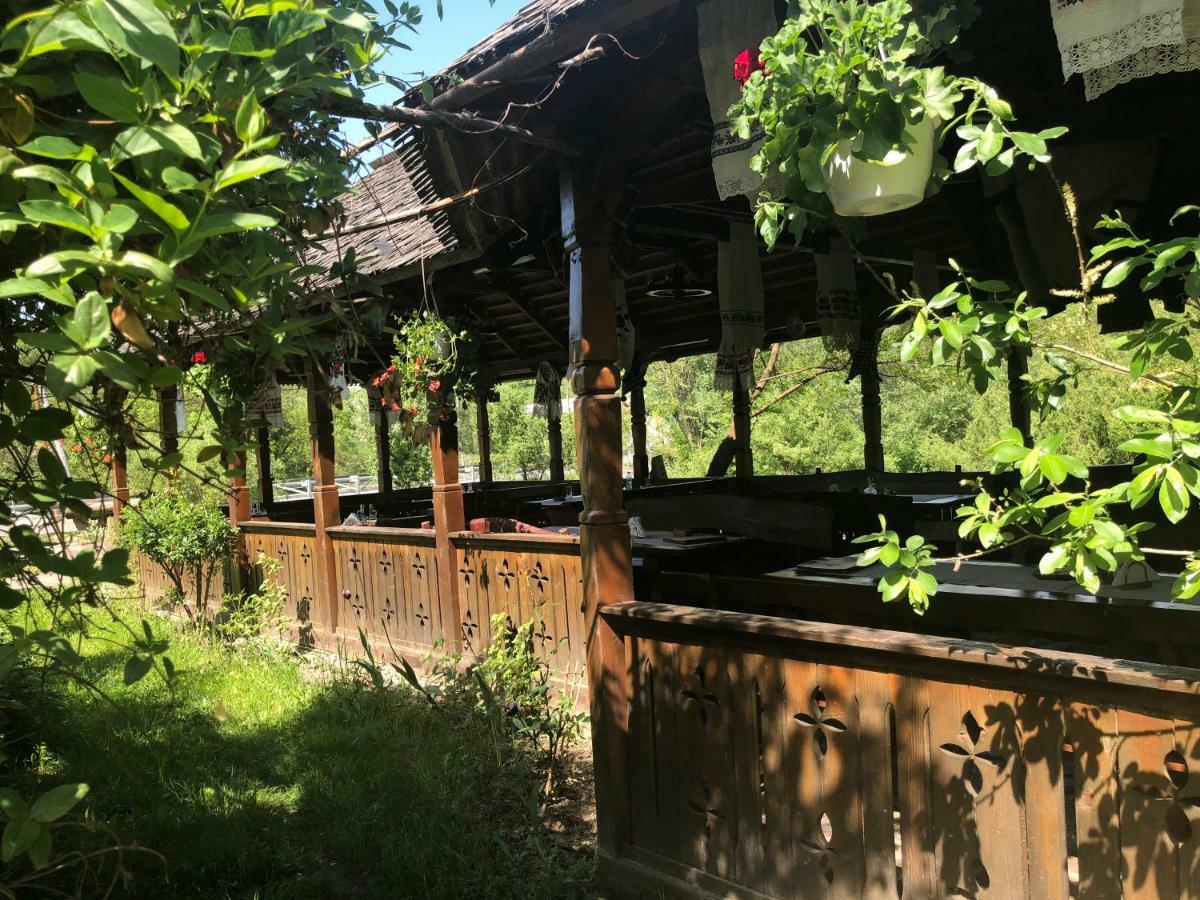 Pensiune Pastravarie La Pintea Haiducu Deseşti Buitenkant foto