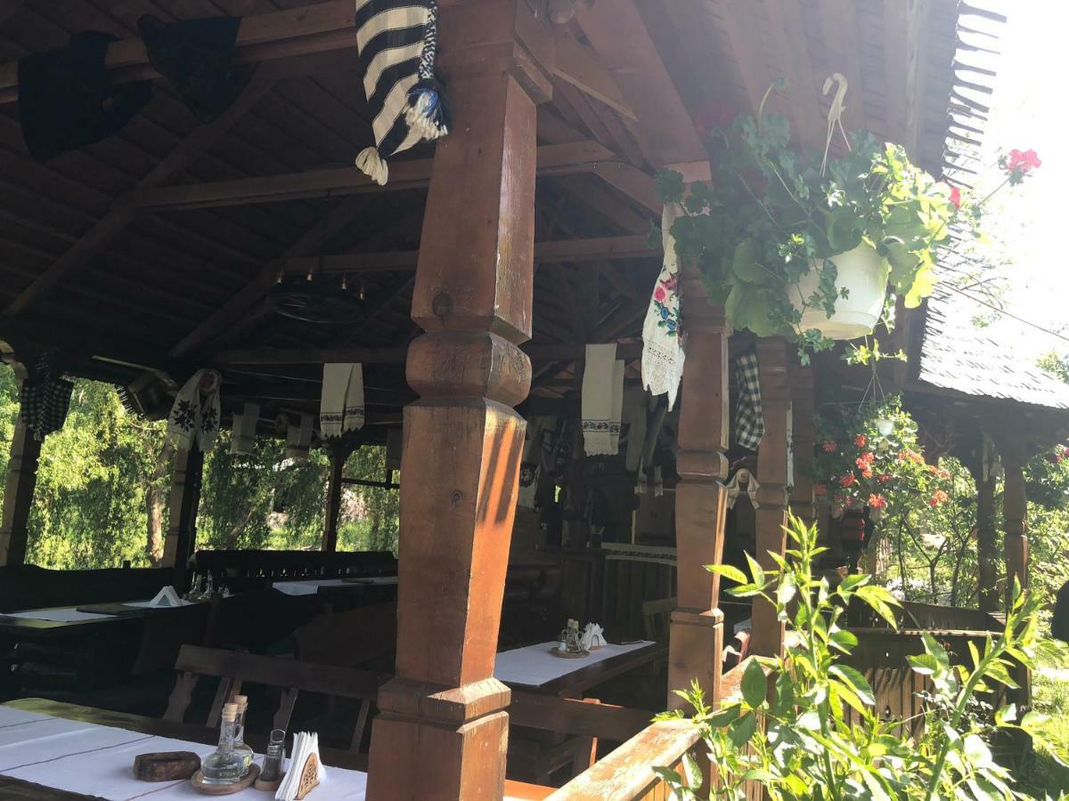 Pensiune Pastravarie La Pintea Haiducu Deseşti Buitenkant foto
