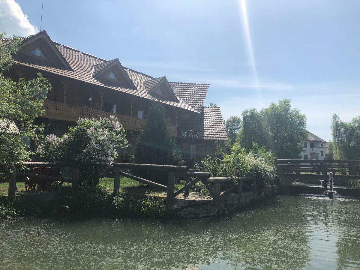 Pensiune Pastravarie La Pintea Haiducu Deseşti Buitenkant foto