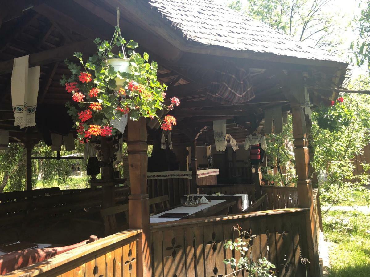 Pensiune Pastravarie La Pintea Haiducu Deseşti Buitenkant foto