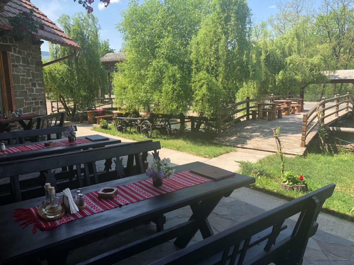 Pensiune Pastravarie La Pintea Haiducu Deseşti Buitenkant foto