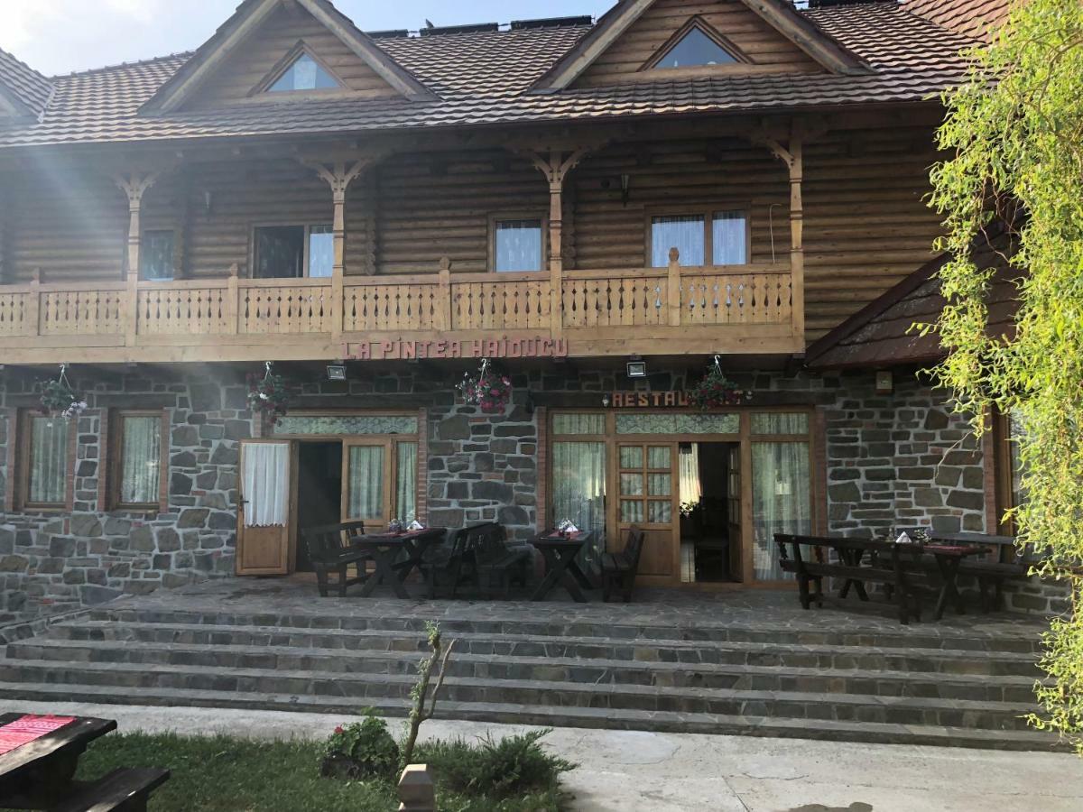 Pensiune Pastravarie La Pintea Haiducu Deseşti Buitenkant foto