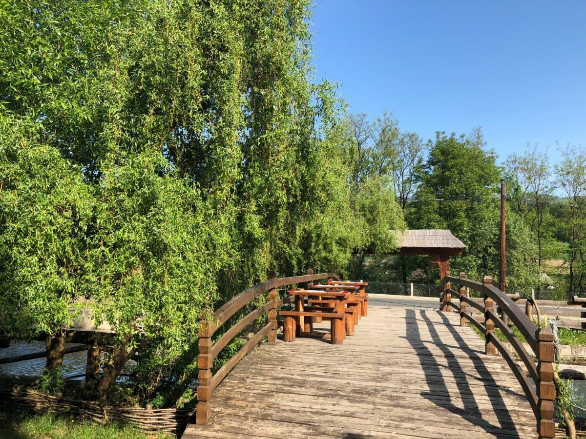 Pensiune Pastravarie La Pintea Haiducu Deseşti Buitenkant foto